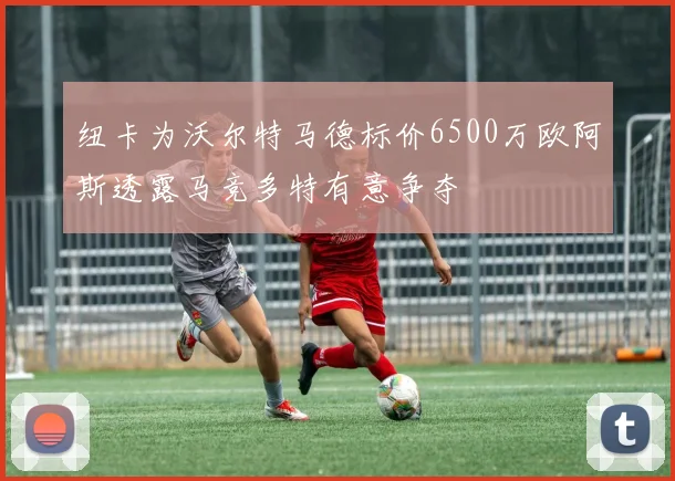 纽卡为沃尔特马德标价6500万欧阿斯透露马竞多特有意争夺